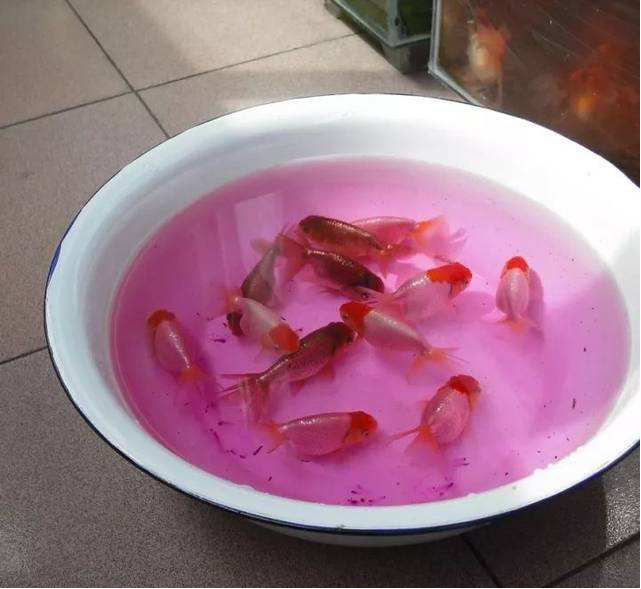 1566981147265664.png 1566981147265664.png